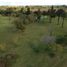 Terrain à vendre à Almirante Brown, Buenos Aires, Almirante Brown