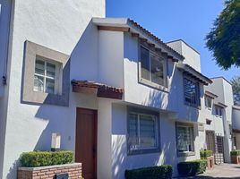 3 Schlafzimmer Wohnung zu verkaufen in Cuajimalpa De Morelos, Mexico City, Cuajimalpa De Morelos