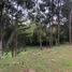 Terrain à vendre à Rionegro, Antioquia, Rionegro