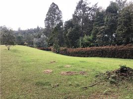 Terrain à vendre à Rionegro, Antioquia, Rionegro