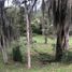 Terrain à vendre à Rionegro, Antioquia, Rionegro