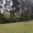 Terrain à vendre à Rionegro, Antioquia, Rionegro