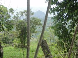  Grundstück zu verkaufen in Tamesis, Antioquia, Tamesis