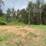  Land for sale in El Carmen De Viboral, Antioquia, El Carmen De Viboral