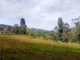  Land for sale in Envigado, Antioquia, Envigado