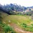  Land for sale in Envigado, Antioquia, Envigado