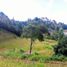  Land for sale in Envigado, Antioquia, Envigado