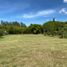 Terrain à vendre à Rionegro, Antioquia, Rionegro