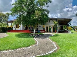 4 Schlafzimmer Villa zu verkaufen in Calarca, Quindio, Calarca