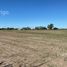  Land for sale in Rosario, Santa Fe, Rosario