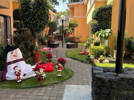 3 Schlafzimmer Appartement zu verkaufen in Coyoacan, Mexico City, Coyoacan