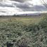  Terreno (Parcela) en venta en Maule, Maule, Talca, Maule