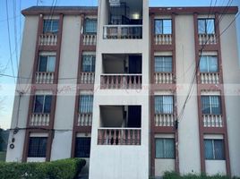 2 Schlafzimmer Appartement zu verkaufen in Monterrey, Nuevo Leon, Monterrey