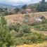  Terreno (Parcela) en venta en La Ceja, Antioquia, La Ceja