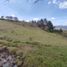 Terrain à vendre à Rionegro, Antioquia, Rionegro, Antioquia