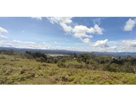 Terrain à vendre à Rionegro, Antioquia, Rionegro, Antioquia