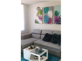 2 Bedroom Condo for rent in Cartagena, Bolivar, Cartagena