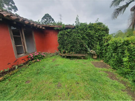 1 Bedroom House for rent in Colombia, Sabaneta, Antioquia, Colombia