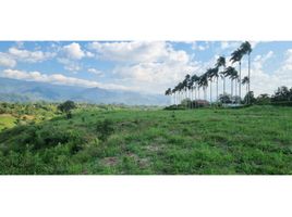  Land for sale in Calarca, Quindio, Calarca