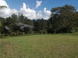  Land for sale in El Carmen De Viboral, Antioquia, El Carmen De Viboral