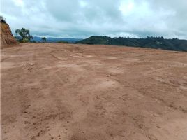  Land for sale in San Vicente, Antioquia, San Vicente