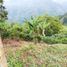 3 Schlafzimmer Villa zu verkaufen in La Ceja, Antioquia, La Ceja, Antioquia, Kolumbien