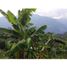 3 Schlafzimmer Villa zu verkaufen in La Ceja, Antioquia, La Ceja, Antioquia, Kolumbien
