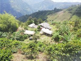 3 Schlafzimmer Villa zu verkaufen in La Ceja, Antioquia, La Ceja, Antioquia, Kolumbien