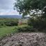  Land for sale in Nogales, Veracruz, Nogales