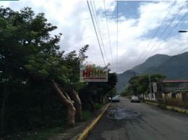  Land for sale in Nogales, Veracruz, Nogales