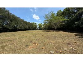  Land for sale in Palmira, Valle Del Cauca, Palmira