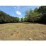  Land for sale in Palmira, Valle Del Cauca, Palmira