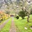 3 Habitación Casa en venta en Guarne, Antioquia, Guarne