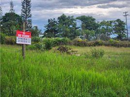  Terreno (Parcela) en venta en Fusagasuga, Cundinamarca, Fusagasuga