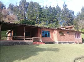 3 Habitación Casa en venta en Guarne, Antioquia, Guarne