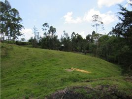  Terreno (Parcela) en venta en La Ceja, Antioquia, La Ceja