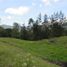  Land for sale in La Ceja, Antioquia, La Ceja