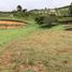  Land for sale in San Vicente, Antioquia, San Vicente