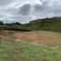  Land for sale in San Vicente, Antioquia, San Vicente