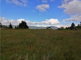  Land for sale in Guarne, Antioquia, Guarne