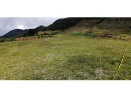  Terreno (Parcela) en venta en La Ceja, Antioquia, La Ceja