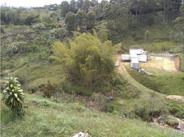  Land for sale in Narino, Antioquia, Narino