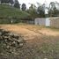  Land for sale in Narino, Antioquia, Narino