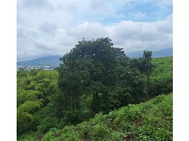  Land for sale in Dosquebradas, Risaralda, Dosquebradas