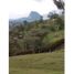  Land for sale in Penol, Antioquia, Penol