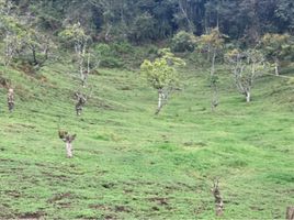 Terrain à vendre à Retiro, Antioquia, Retiro