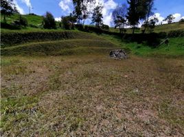  Land for sale in El Carmen De Viboral, Antioquia, El Carmen De Viboral