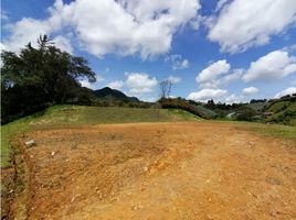  Land for sale in El Carmen De Viboral, Antioquia, El Carmen De Viboral