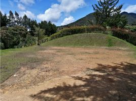  Land for sale in El Carmen De Viboral, Antioquia, El Carmen De Viboral