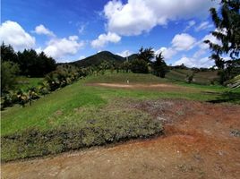  Land for sale in El Carmen De Viboral, Antioquia, El Carmen De Viboral